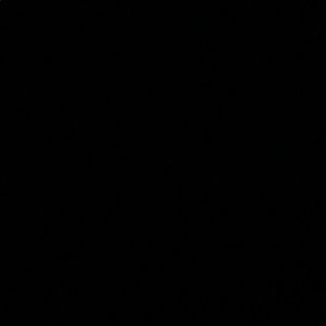 Meet your Posher, Bella